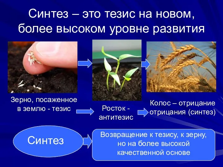 Синтез – это тезис на новом, более высоком уровне развития