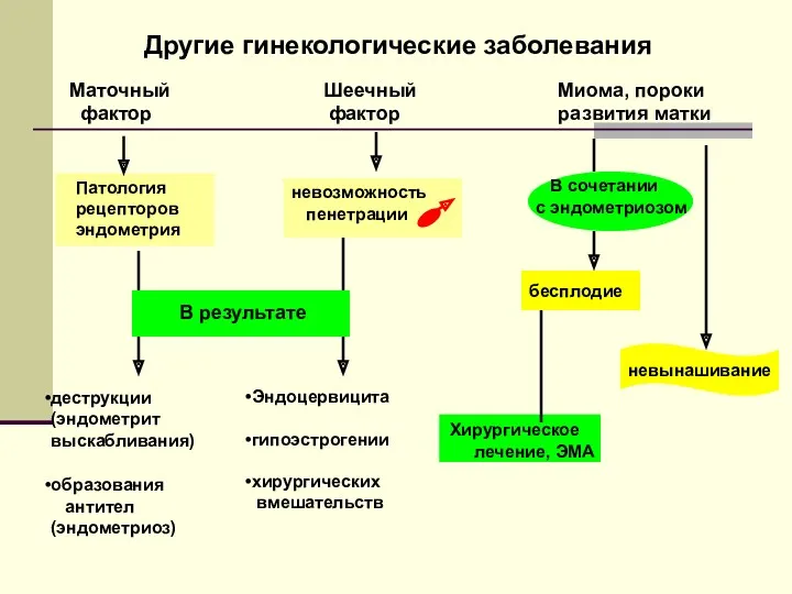 Другие гинекологические заболевания Миома, пороки развития матки Маточный фактор Шеечный