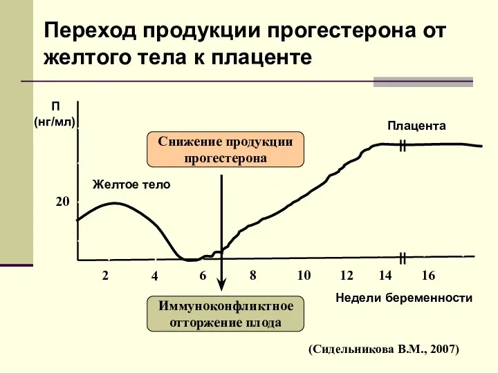 Переход продукции прогестерона от желтого тела к плаценте 2 4