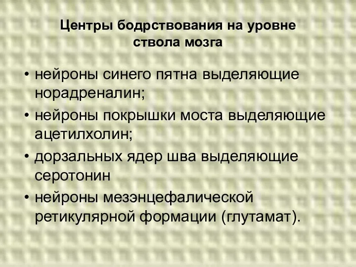 Центры бодрствования на уровне ствола мозга нейроны синего пятна выделяющие