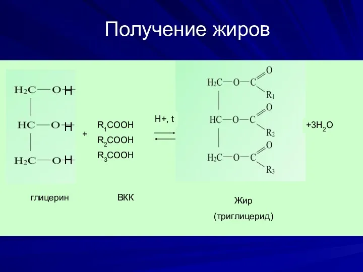 Получение жиров