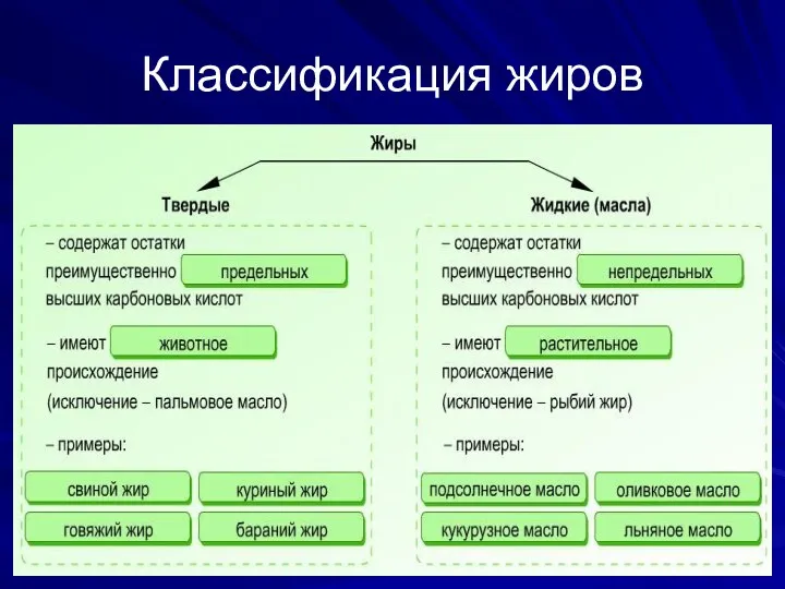 Классификация жиров