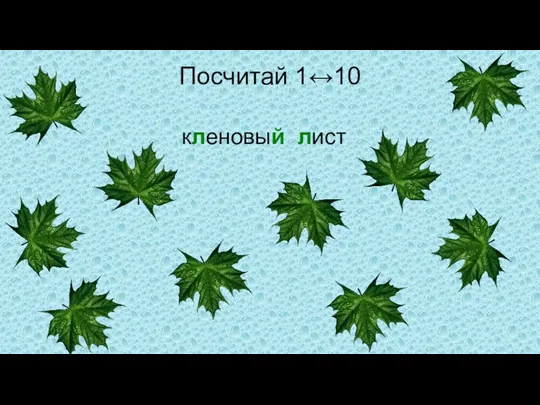 Посчитай 1↔10 кленовый лист