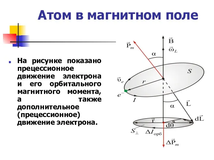 Атом в магнитном поле На рисунке показано прецессионное движение электрона