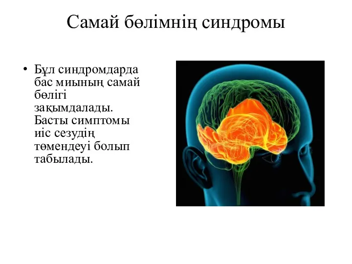 Самай бөлімнің синдромы Бұл синдромдарда бас миының самай бөлігі зақымдалады.