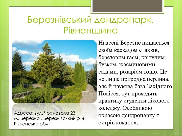 Березнівський дендропарк, Рівненщина Навесні Березне пишається своїм каскадом ставків, березовим