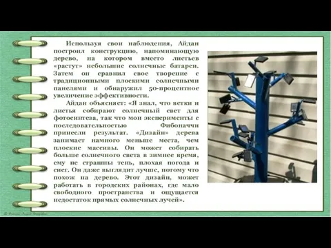 Используя свои наблюдения, Айдан построил конструкцию, напоминающую дерево, на котором