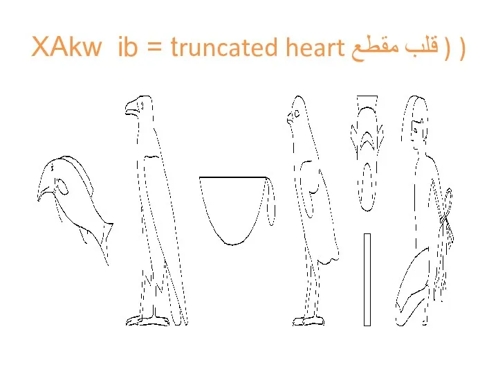 XAkw ib = truncated heart قلب مقطع ) )