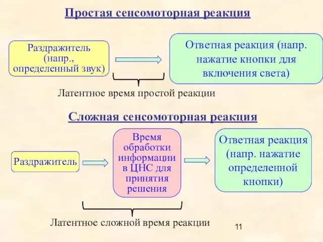 Простая сенсомоторная реакция Раздражитель (напр., определенный звук) Ответная реакция (напр.