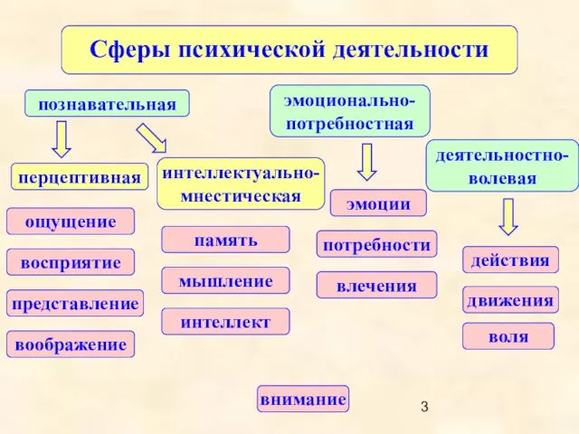 Сферы психической деятельности деятельностно-волевая познавательная эмоционально-потребностная внимание ощущение восприятие представление