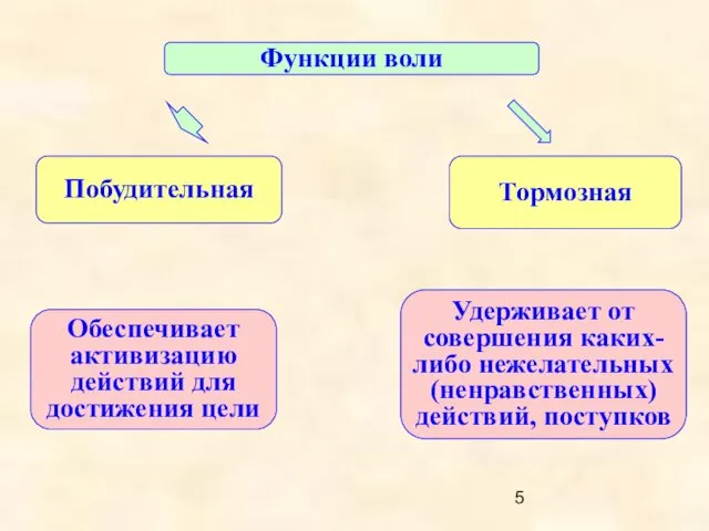 Побудительная Тормозная Функции воли Обеспечивает активизацию действий для достижения цели