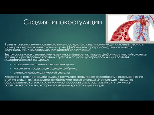 Стадия гипокоагуляции В результате диссеминированного внутрисосудистого свертывания уходят основные ресурсы