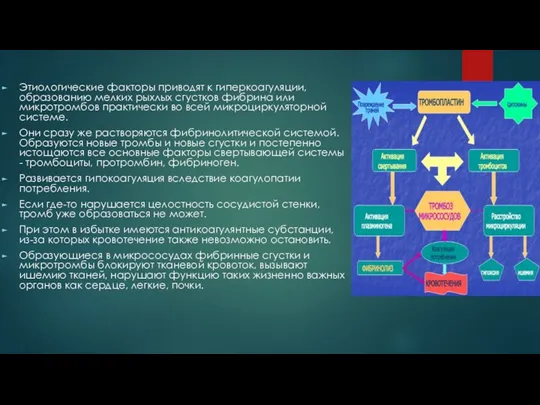 Этиологические факторы приводят к гиперкоагуляции, образованию мелких рыхлых сгустков фибрина