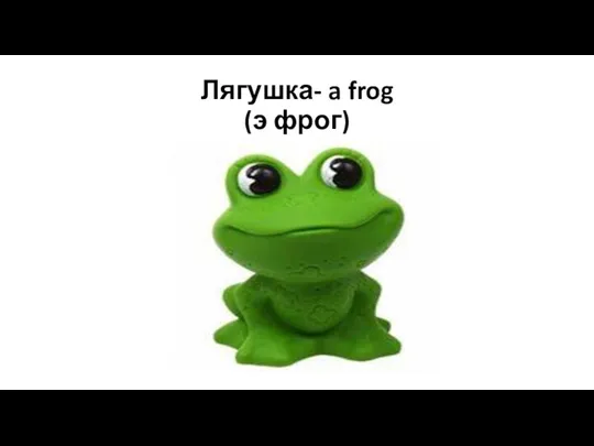 Лягушка- a frog (э фрог)