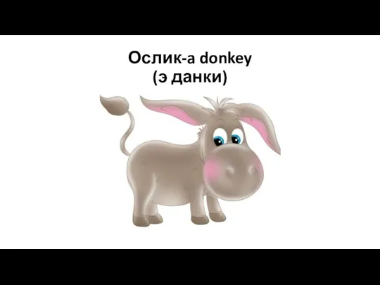 Ослик-a donkey (э данки)