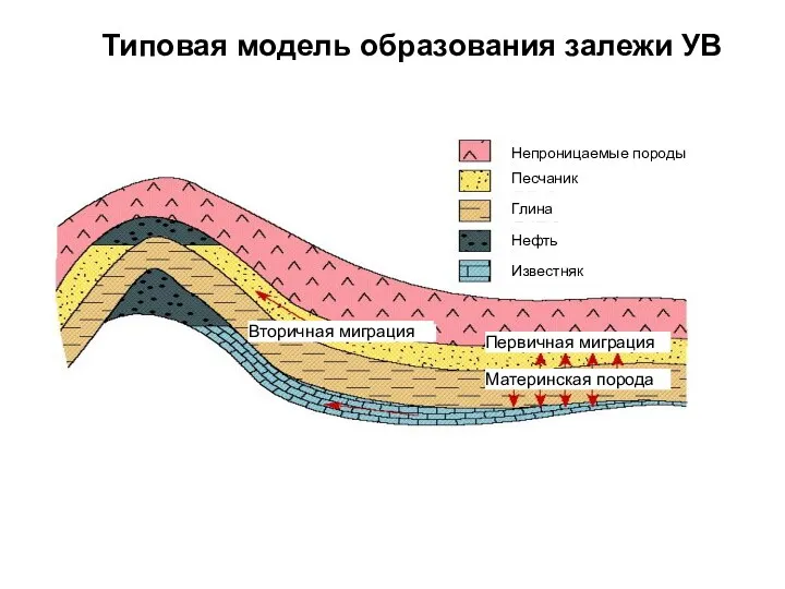 Типовая модель образования залежи УВ Непроницаемые породы Песчаник Глина Нефть