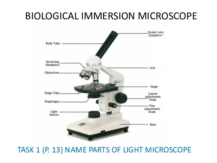 BIOLOGICAL IMMERSION MICROSCOPE TASK 1 (P. 13) NAME PARTS OF LIGHT MICROSCOPE