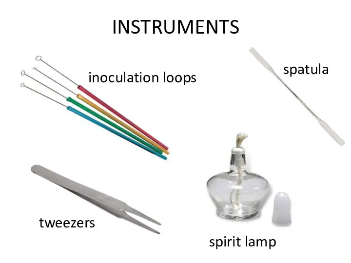 INSTRUMENTS inoculation loops spatula tweezers spirit lamp