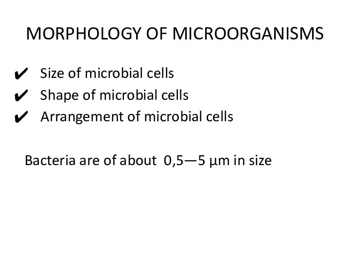 MORPHOLOGY OF MICROORGANISMS Size of microbial cells Shape of microbial