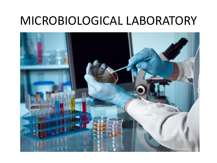 MICROBIOLOGICAL LABORATORY