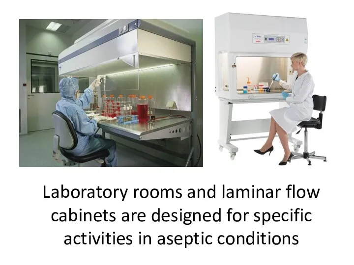 Laboratory rooms and laminar flow cabinets are designed for specific activities in aseptic conditions