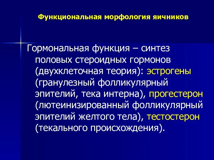 Функциональная морфология яичников Гормональная функция – синтез половых стероидных гормонов (двухклеточная теория): эстрогены