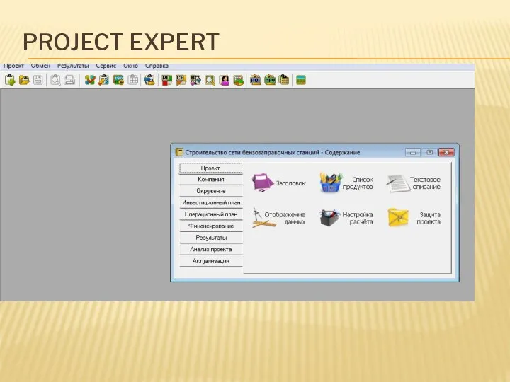 PROJECT EXPERT