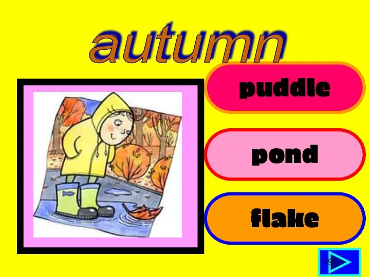 puddle pond flake 19 autumn