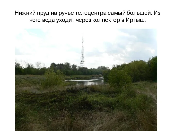 Нижний пруд на ручье телецентра самый большой. Из него вода уходит через коллектор в Иртыш.