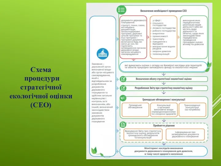 Схема процедури стратегічної екологічної оцінки (СЕО)