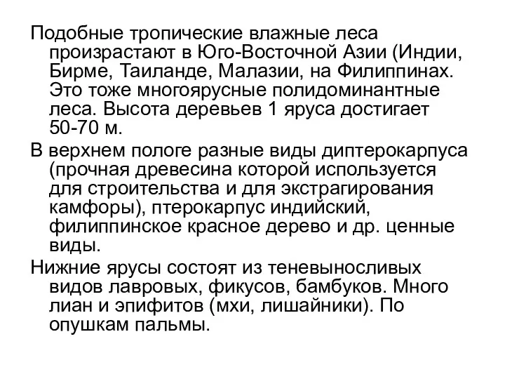 Подобные тропические влажные леса произрастают в Юго-Восточной Азии (Индии, Бирме,