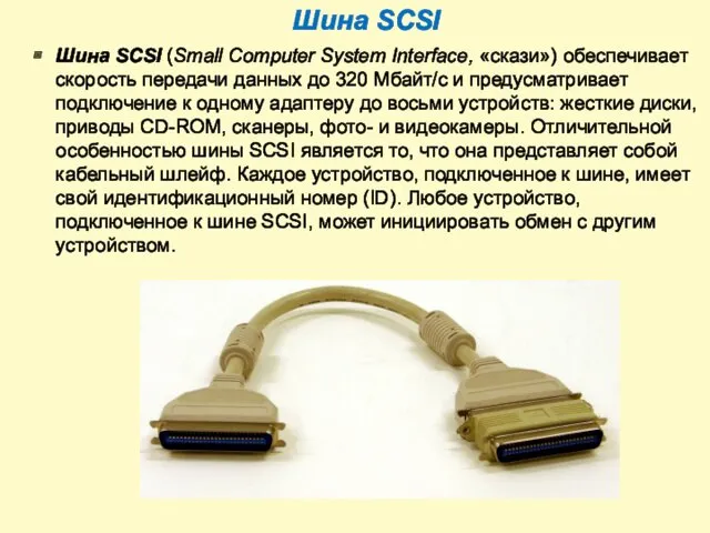 Шина SCSI Шина SCSI (Small Computer System Interface, «скази») обеспечивает