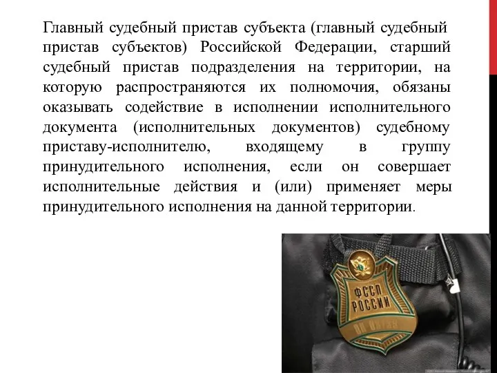 Главный судебный пристав субъекта (главный судебный пристав субъектов) Российской Федерации,