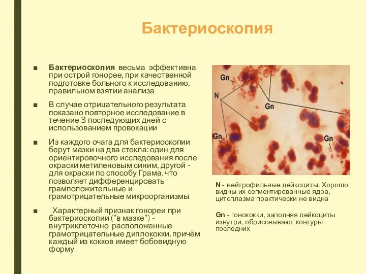 Бактериоскопия Бактериоскопия весьма эффективна при острой гонорее, при качественной подготовке