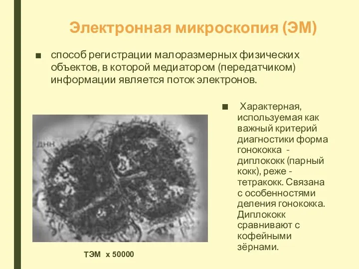 Электронная микроскопия (ЭМ) способ регистрации малоразмерных физических объектов, в которой