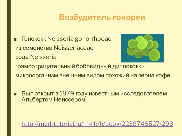 Возбудитель гонореи Гонококк Neisseria gonorrhoeae из семейства Neisseriaceae рода Neisseria,