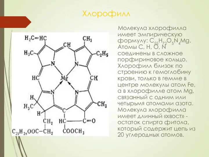 Хлорофилл Молекула хлорофилла имеет эмпирическую формулу: С55Н72О5N4Мg. Атомы С, Н, О, N соединены