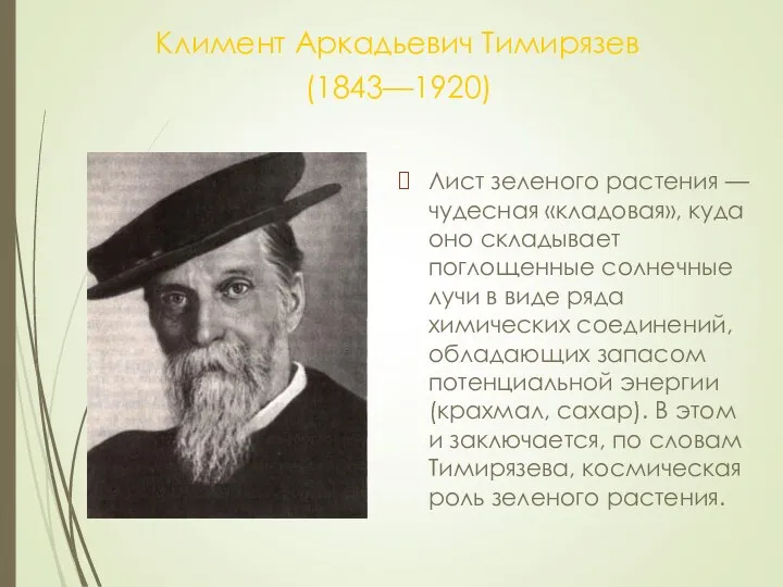 Климент Аркадьевич Тимирязев (1843—1920) Лист зеленого растения — чудесная «кладовая», куда оно складывает