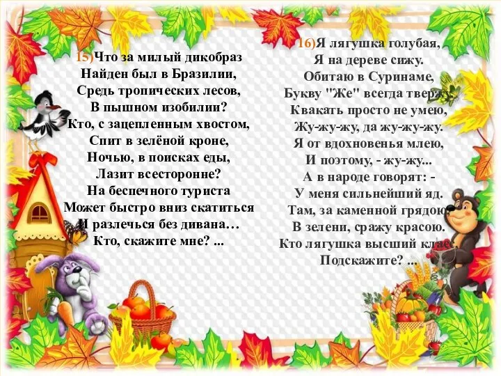 15)Что за милый дикобраз Найден был в Бразилии, Средь тропических