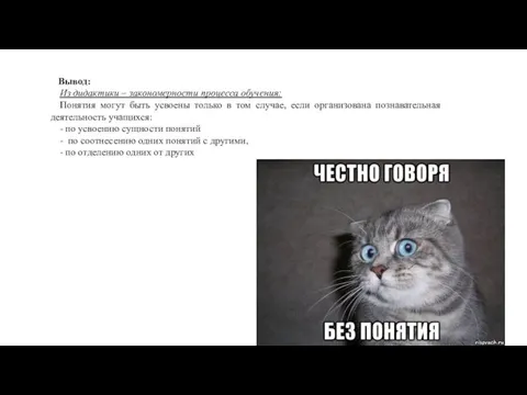 Вывод: Из дидактики – закономерности процесса обучения: Понятия могут быть