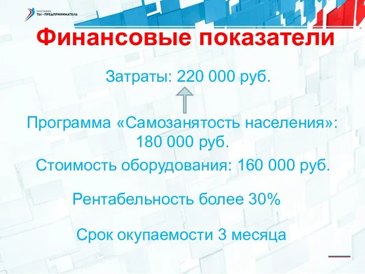 Финансовые показатели Срок окупаемости 3 месяца Затраты: 220 000 руб. Программа «Самозанятость населения»: