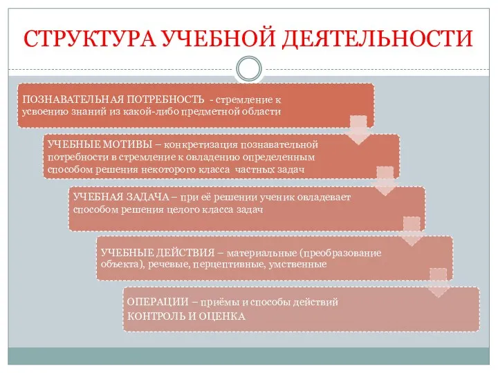 СТРУКТУРА УЧЕБНОЙ ДЕЯТЕЛЬНОСТИ