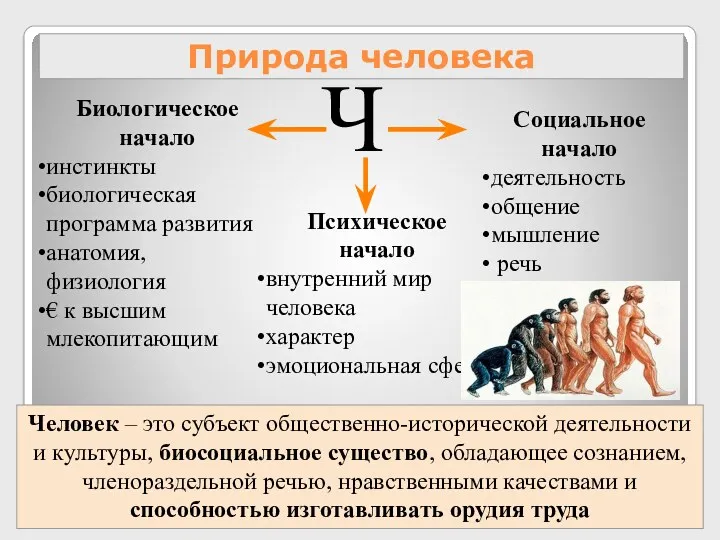 Природа человека Ч Биологическое начало инстинкты биологическая программа развития анатомия,