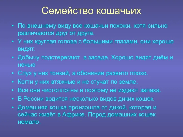 Семейство кошачьих По внешнему виду все кошачьи похожи, хотя сильно