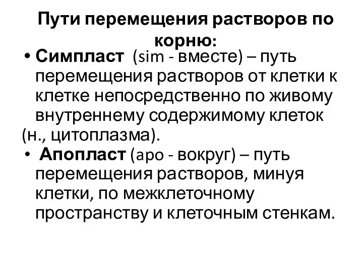 Пути перемещения растворов по корню: Симпласт (sim - вместе) –