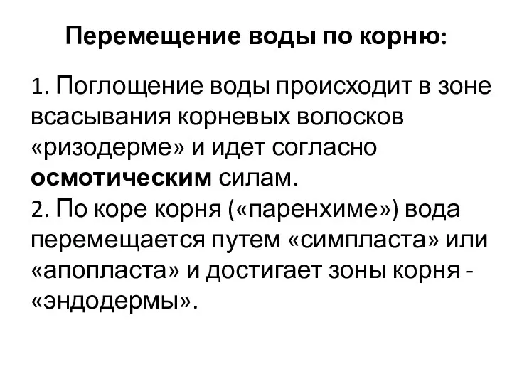 Перемещение воды по корню: 1. Поглощение воды происходит в зоне