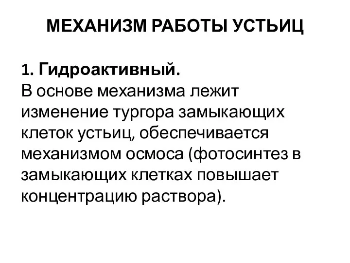 МЕХАНИЗМ РАБОТЫ УСТЬИЦ 1. Гидроактивный. В основе механизма лежит изменение