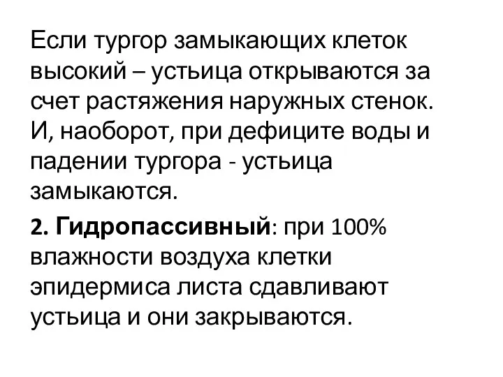 Если тургор замыкающих клеток высокий – устьица открываются за счет