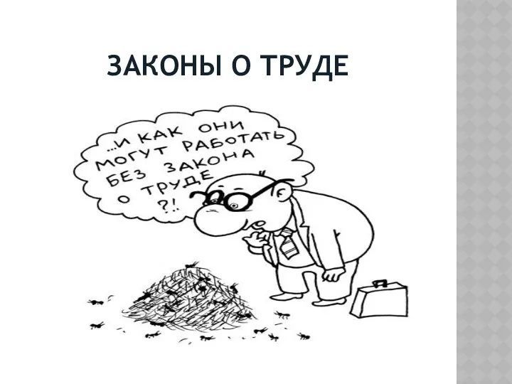 ЗАКОНЫ О ТРУДЕ