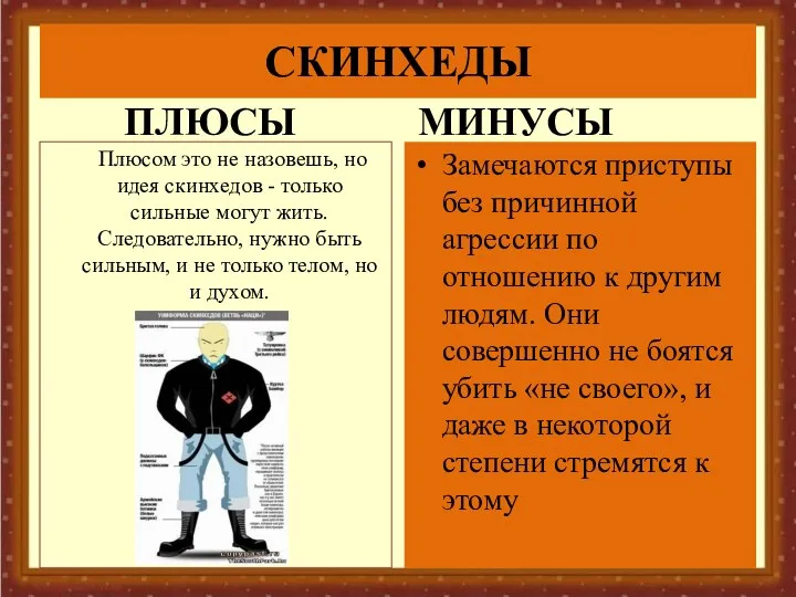 СКИНХЕДЫ ПЛЮСЫ МИНУСЫ Замечаются приступы без причинной агрессии по отношению